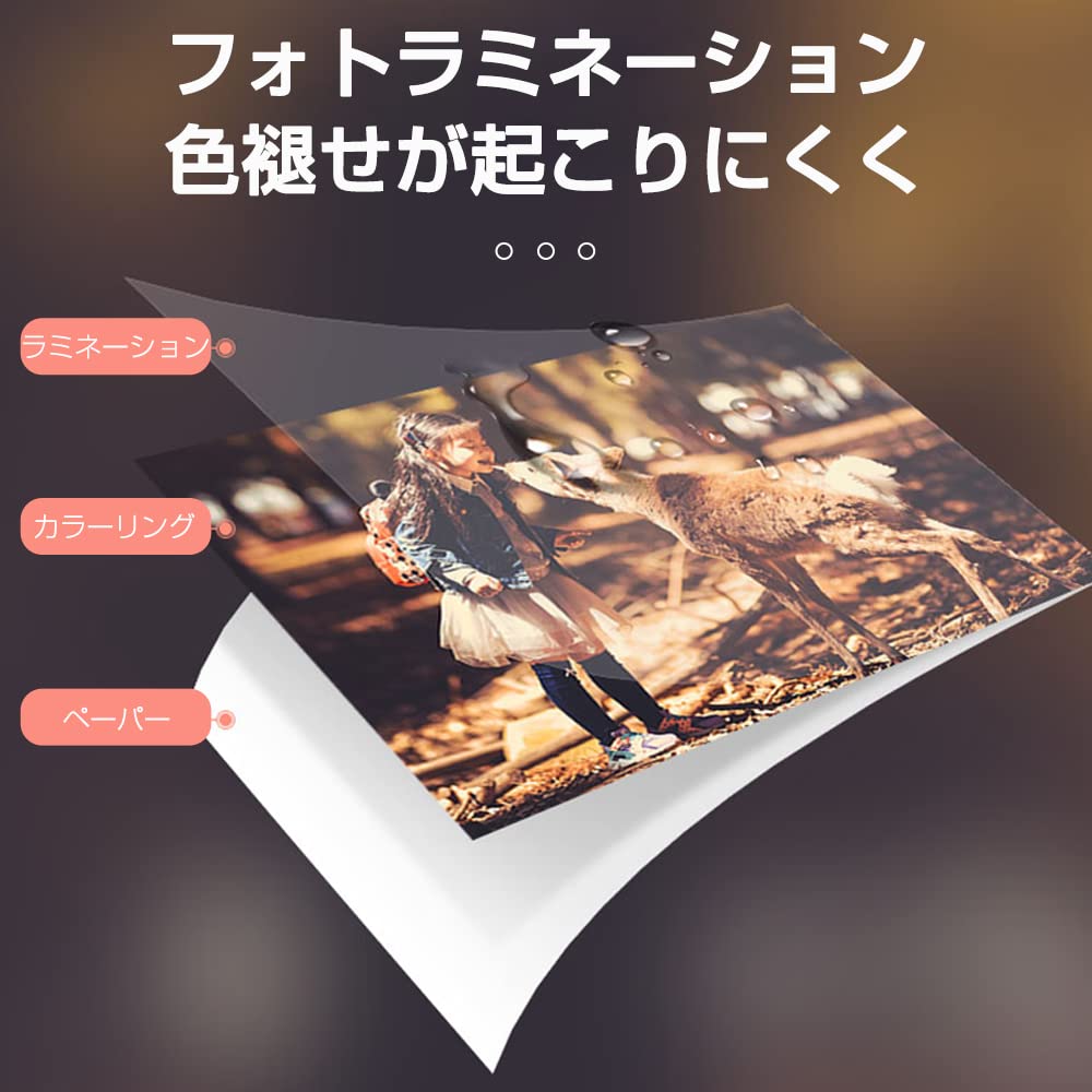 Lifepint フォトプリンター シール式フォトペーパー キャノン用ZINKフォトペーパー 50枚入り: ステーショナリー